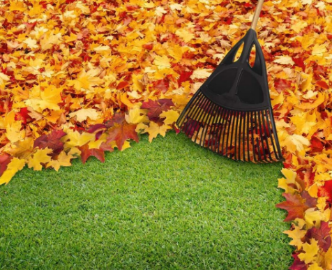 fall cleanup